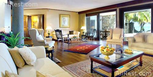 Royal Palm 10